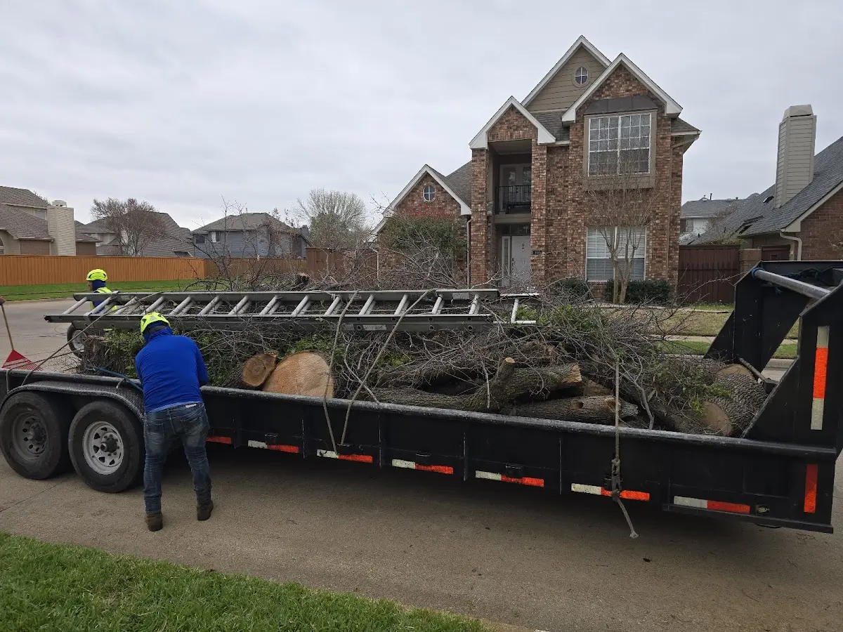 Expert Tree Pest Control with proper safety equipment in Crescent Mills